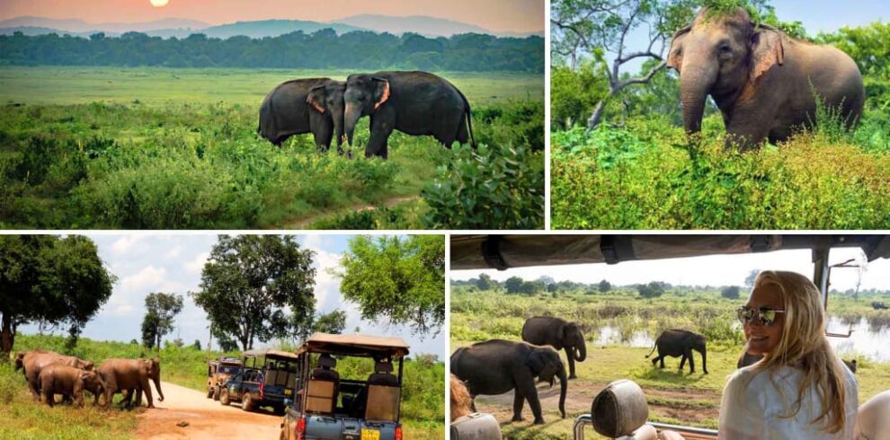 642d900fda30c3001d9cc3fd